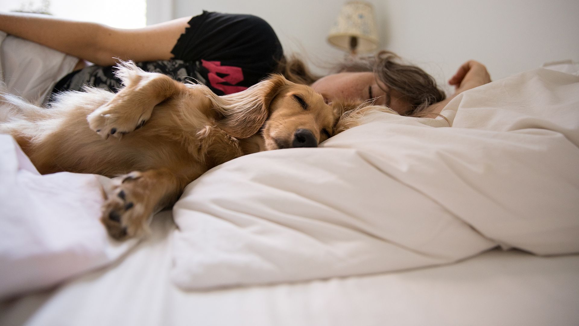 Dormir con el perro en la cama puede ser una opción segura si el animal está sano, educado y no altera el descanso