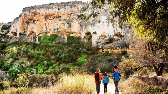 les coves de vinrom 