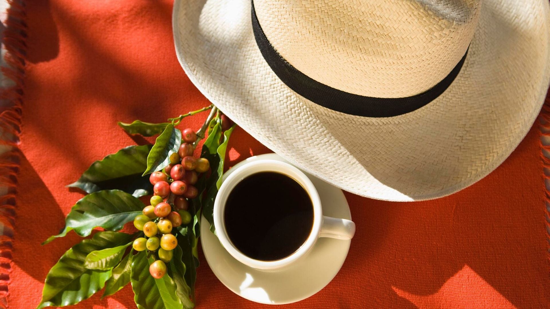 Conoce la Ruta del Café, en Colombia