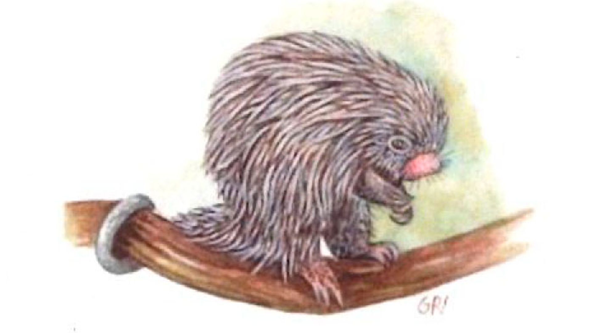 Otra de las ilustraciones de Guillermina Royo-Villanova para el libro de su padre