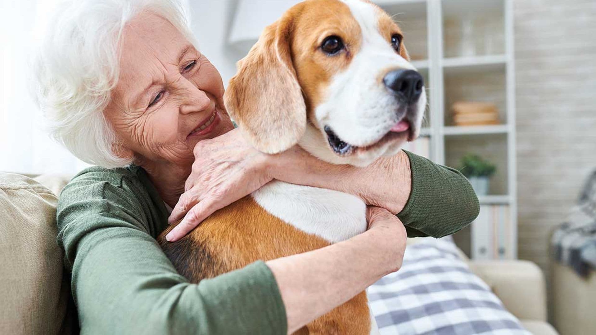 ¿Una mascota puede ser la solución a la soledad de los ancianos?