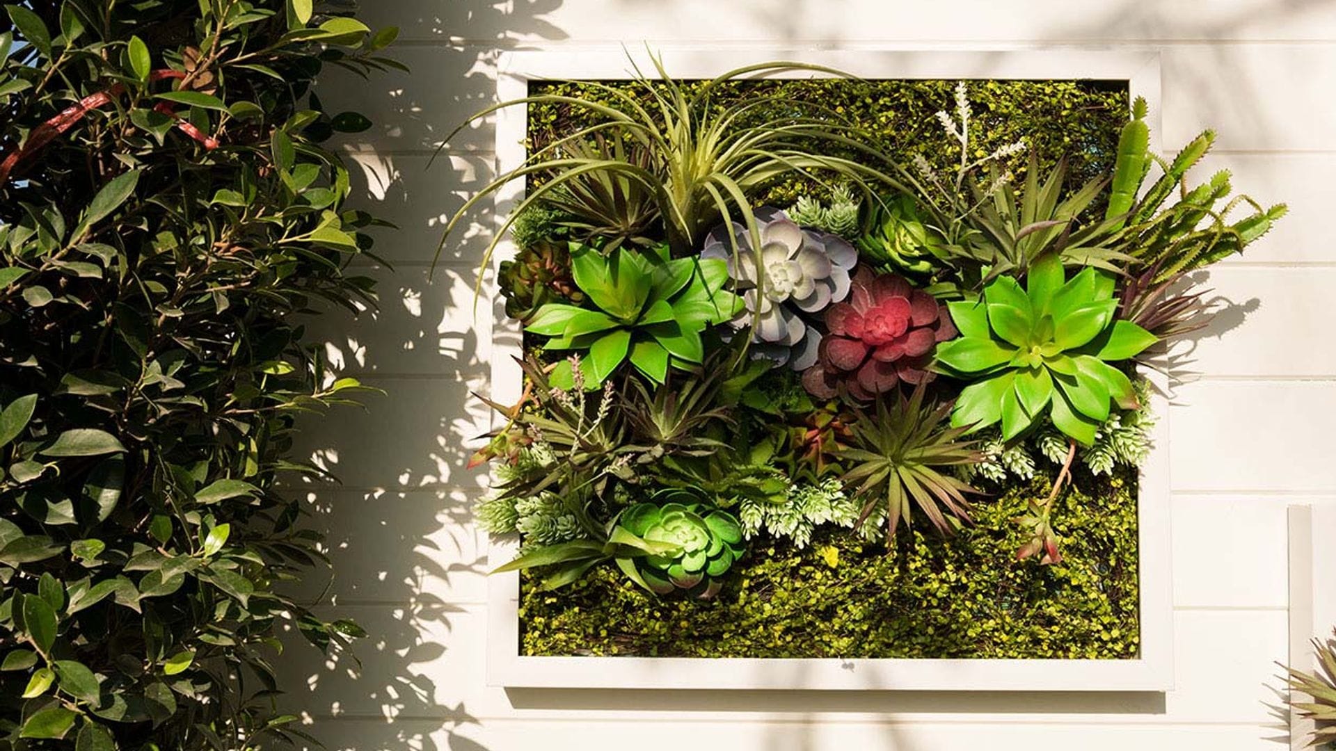 Aprende a construir un jardín vertical reciclando una ventana vieja