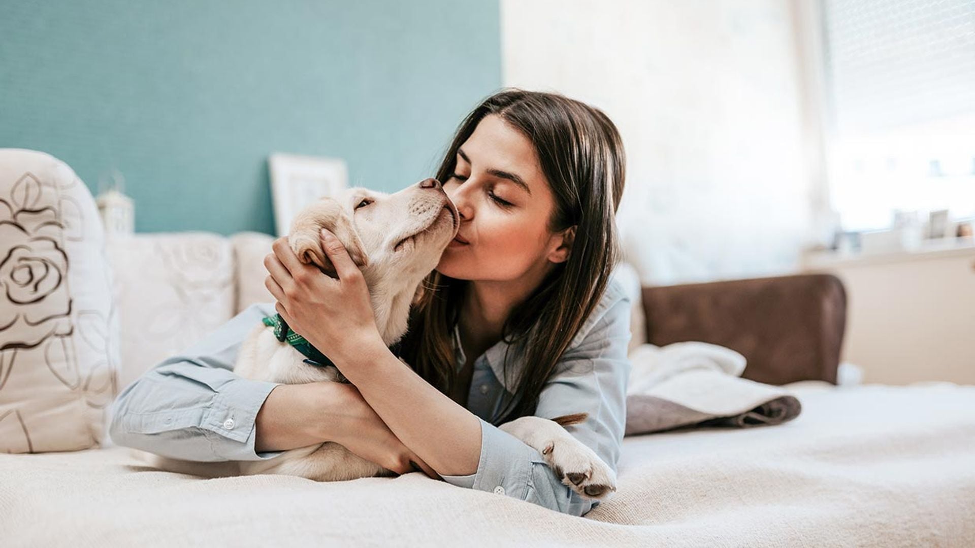 Razas de perros que siempre parecerán cachorros