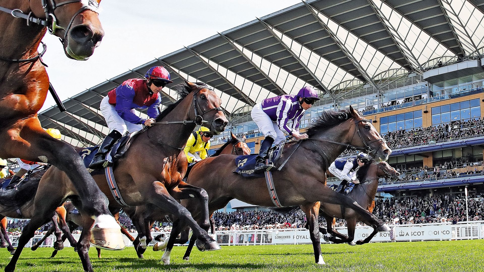 Fotografía de una carrera de caballos en pleno auge