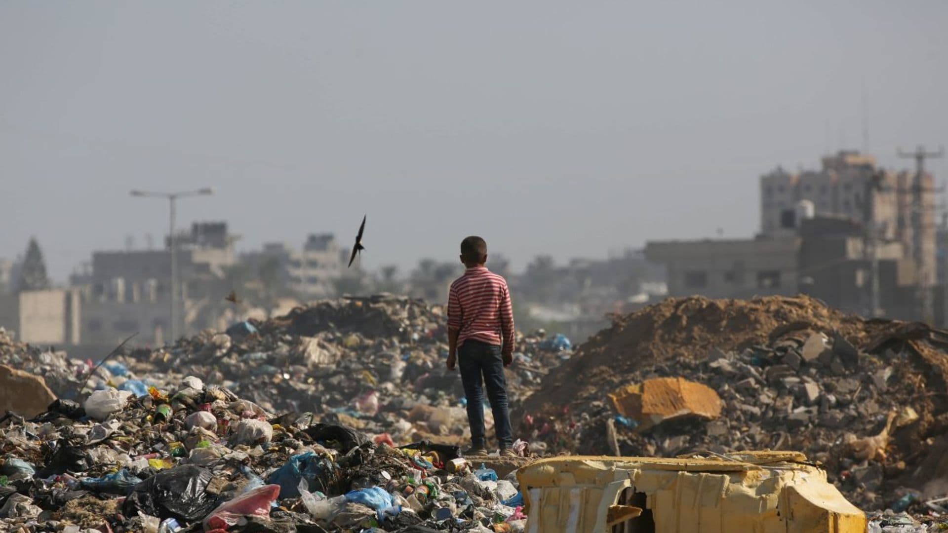 UNRWA gestiona la recogida de residuos para frenar la propagación de enfermedades en medio del hacinamiento, el calor y la escasez de suministros médicos, junio 2024 Gaza a través de sus ojos, Thyssen Madrid