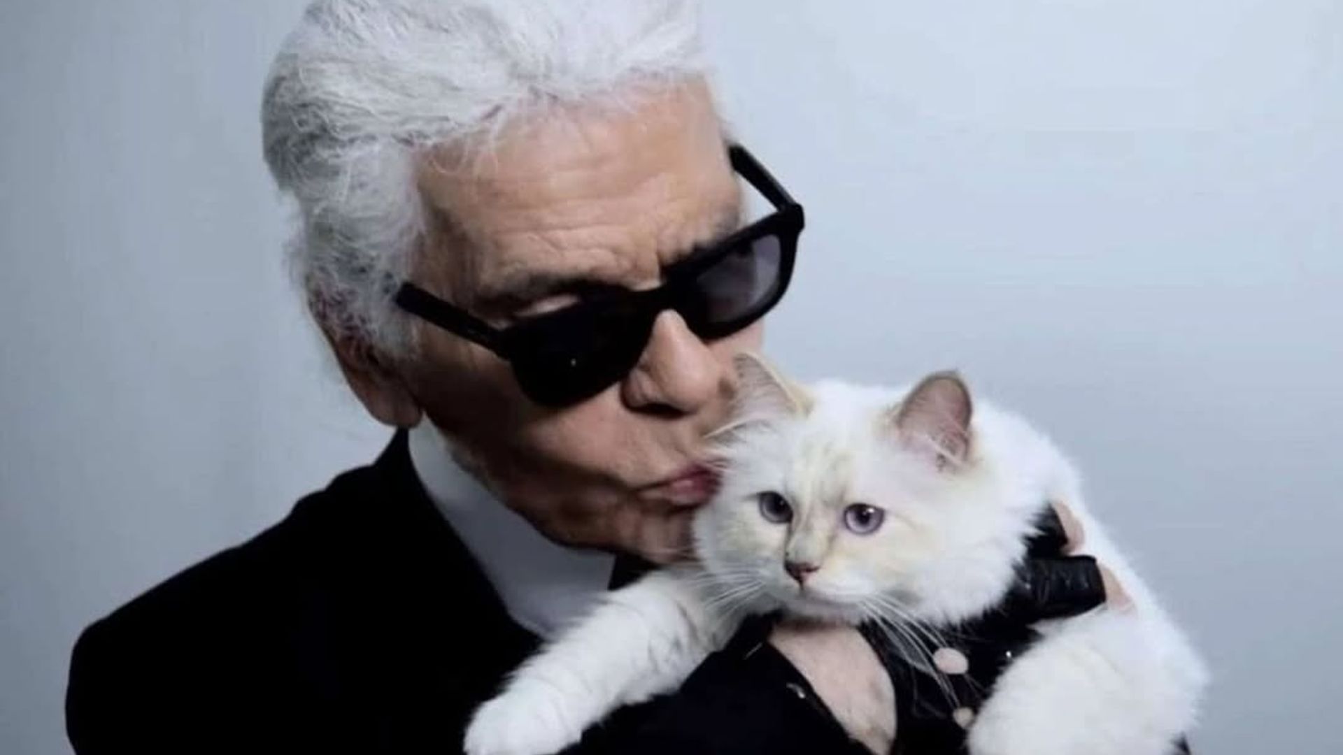 Choupette, la icónica gata del diseñador Karl Lagerfeld, todavía no ha recibido ni un euro de los millones que heredó tras su muerte