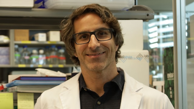 Doctor Toni Celià-Terrassa, firmante principal del estudio, investigador de GEICAM y del Grupo de investigación de Células Madre Cancerosas y Dinámicas de Metástasis.