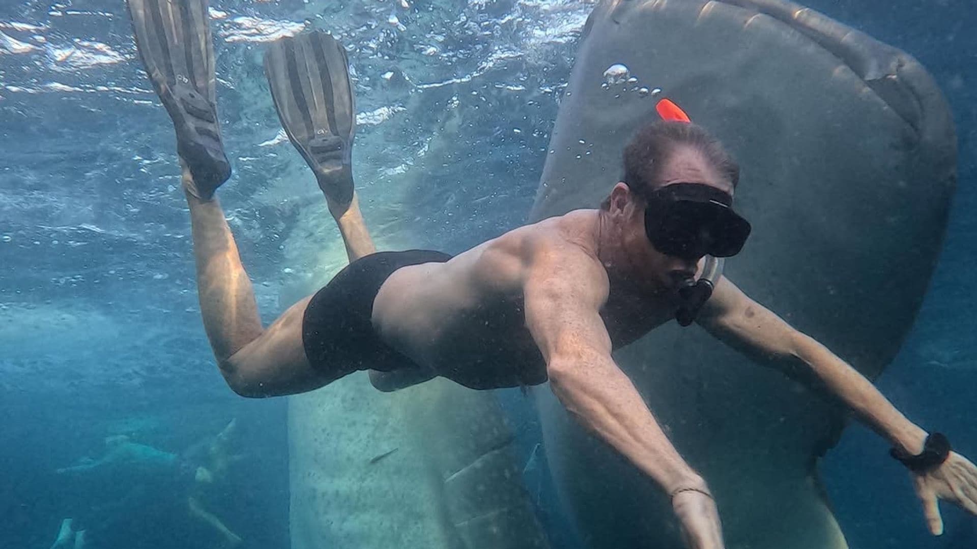 El vídeo de Pablo Motos que demuestra que no tiene miedo a nada: buceando entre tiburones ballena