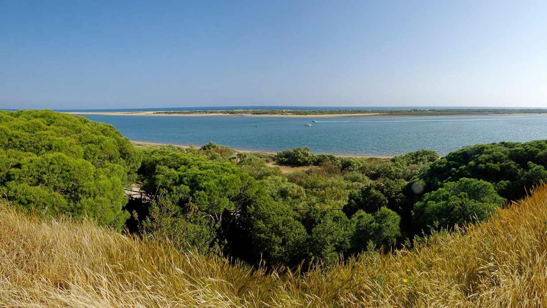 Flecha del Rompido, kilómetros de playas naturales en Huelva