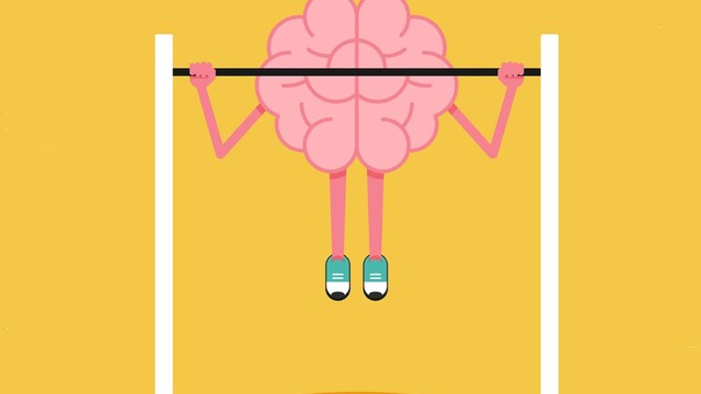cerebro1