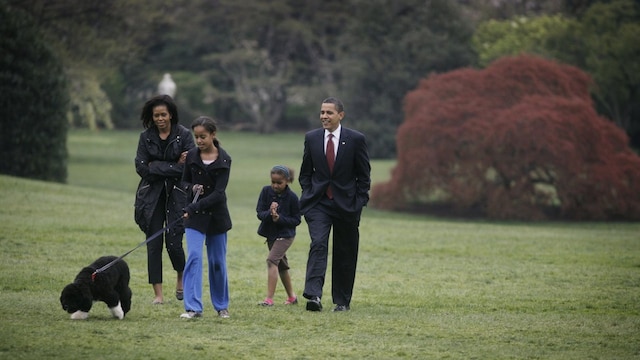 the white house debuts the obamas 39 new dog bo a portuguese water dog