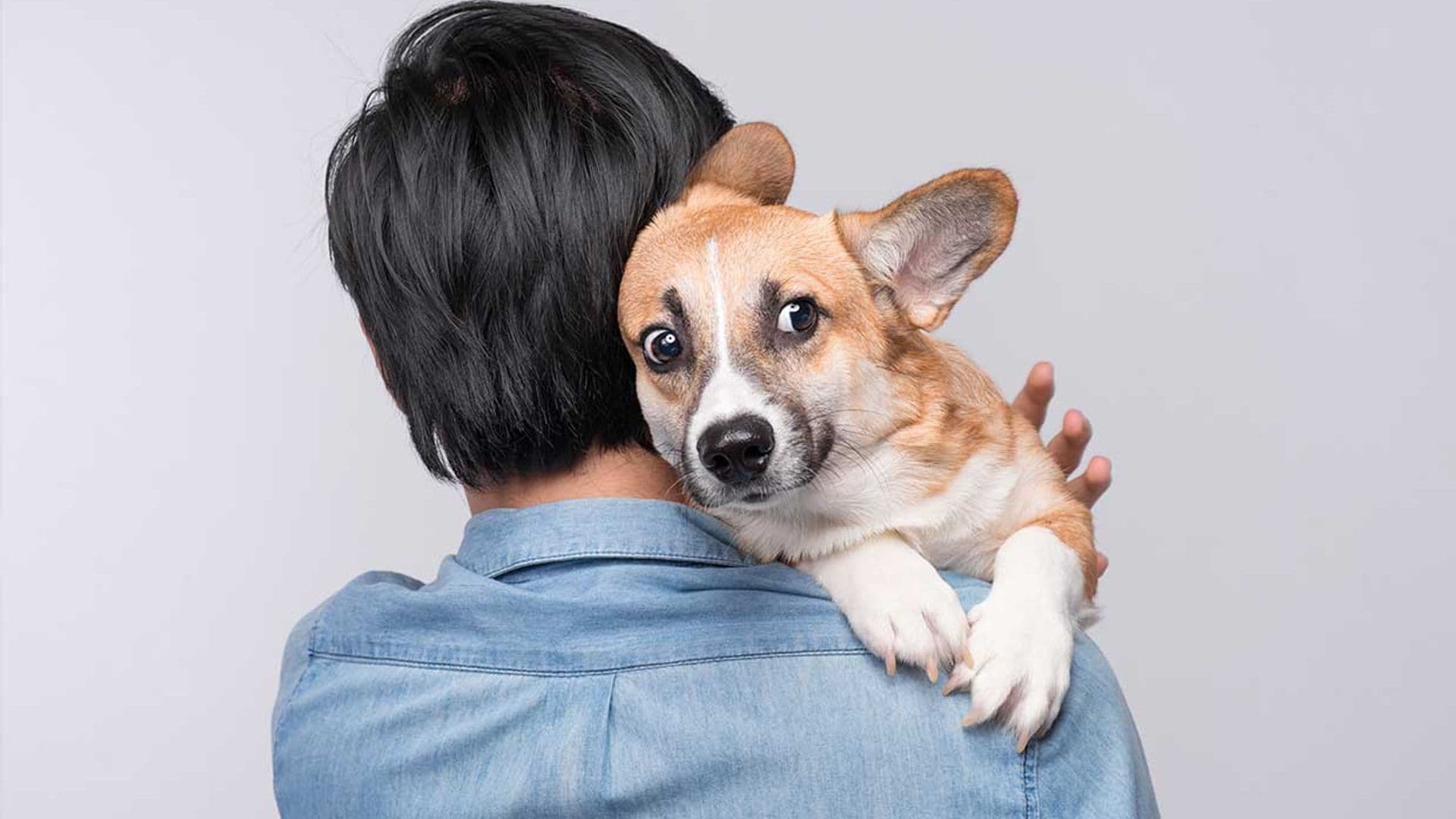 ¿A qué le tiene miedo tu perro?