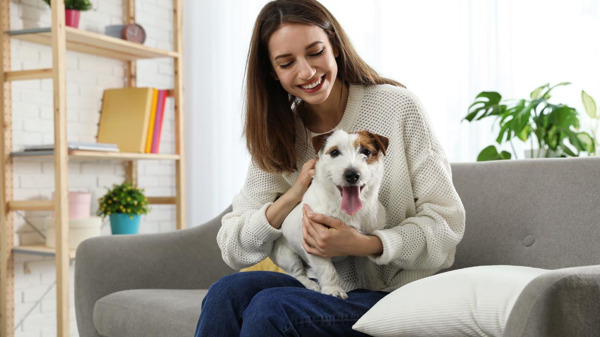 ¿Tu mascota pierde mucho pelo? Apunta estos consejos para eliminarlo mejor