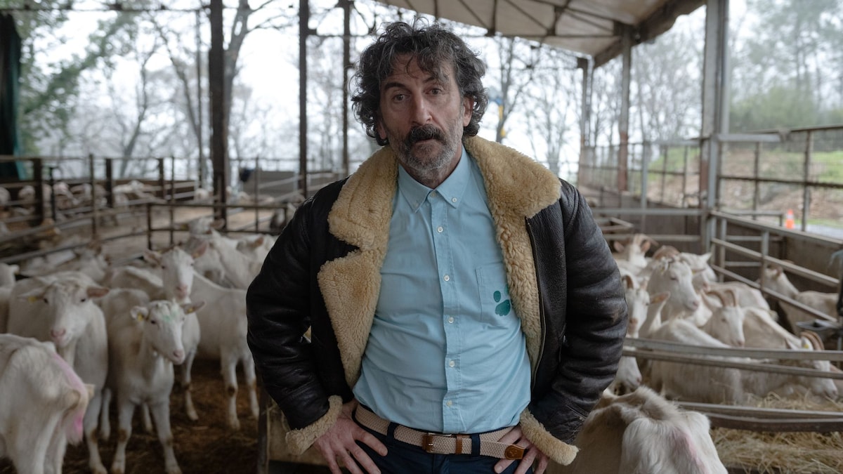 Si te gustó  Vivir sin permiso  o  Entrevías , no te pierdas la nueva serie de Netflix con Luis Zahera como protagonista