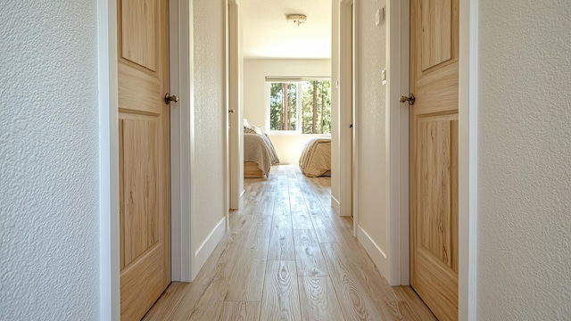 Pasillo estrecho de una casa
