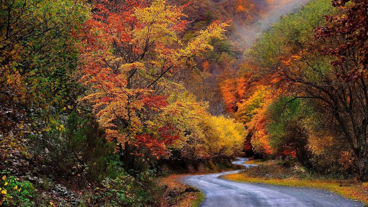 6 escapadas de última hora para el puente del 12 de octubre: playas, bosques, buen marisco y paseos urbanos por ciudades fascinantes