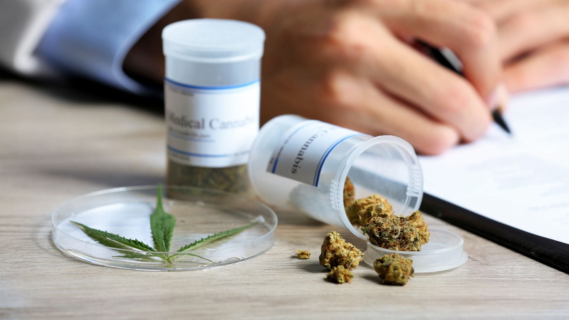 ¿Qué sabemos sobre el uso terapéutico del cannabis?