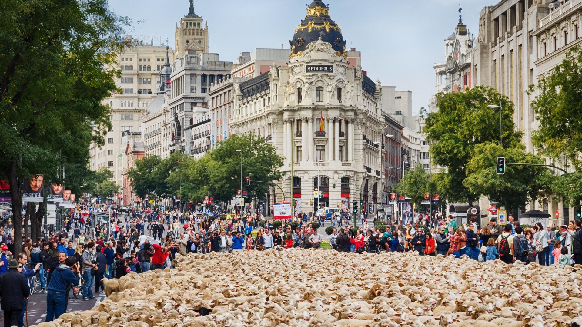 Toma nota, porque estos son los mejores planes para hacer en Madrid entre el 16 y el 19 de octubre