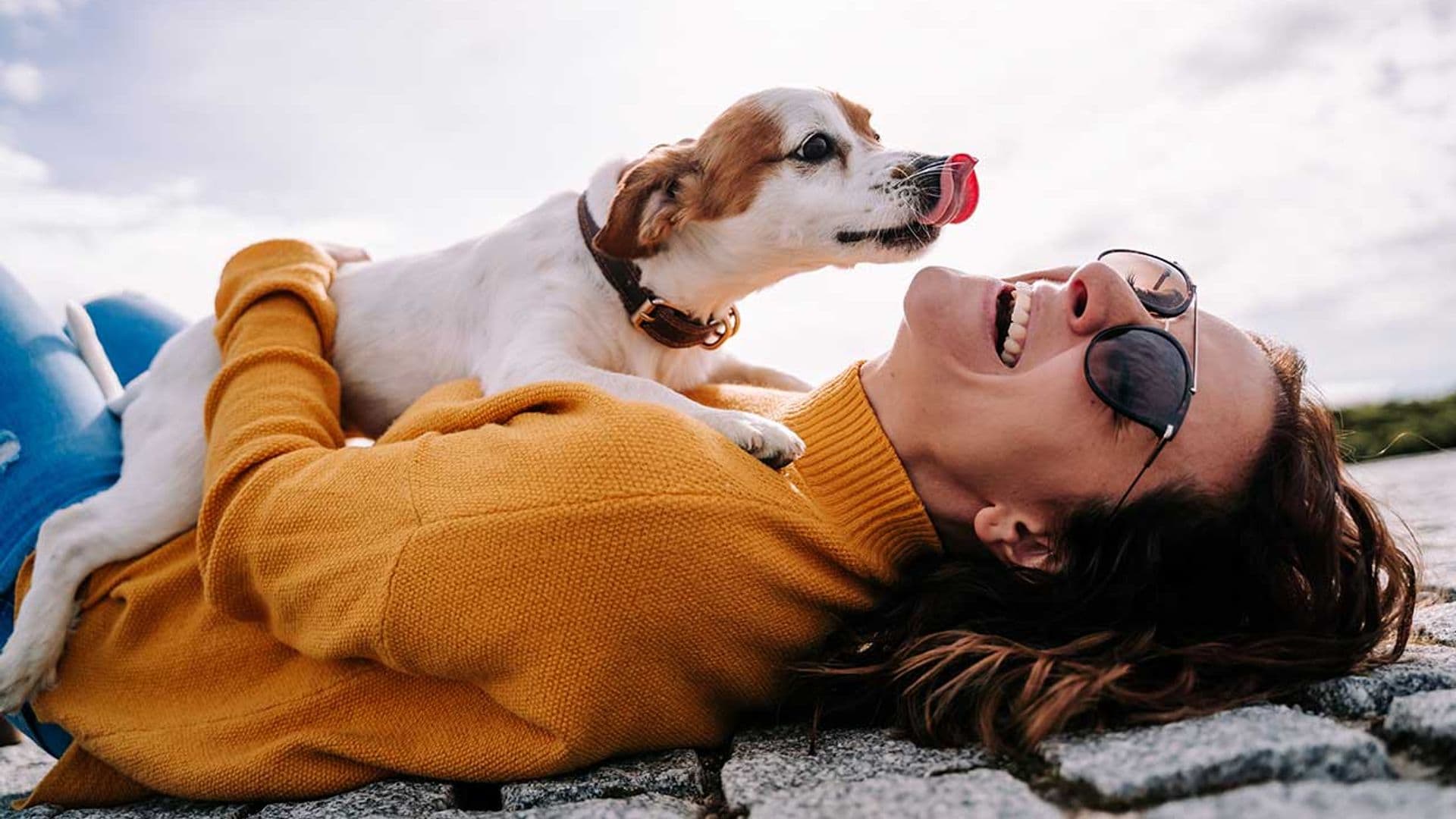 Las personas con perro tienen mejor humor y más salud mental, según la ciencia