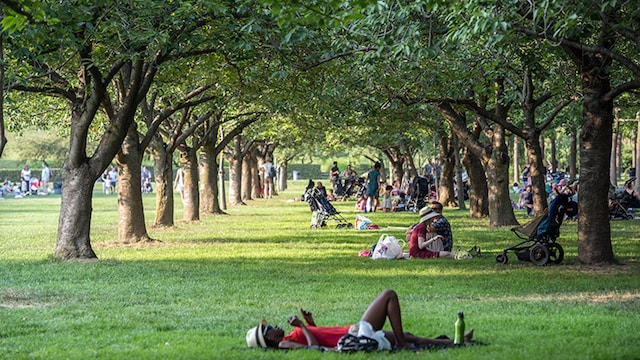 planes gratis nueva york