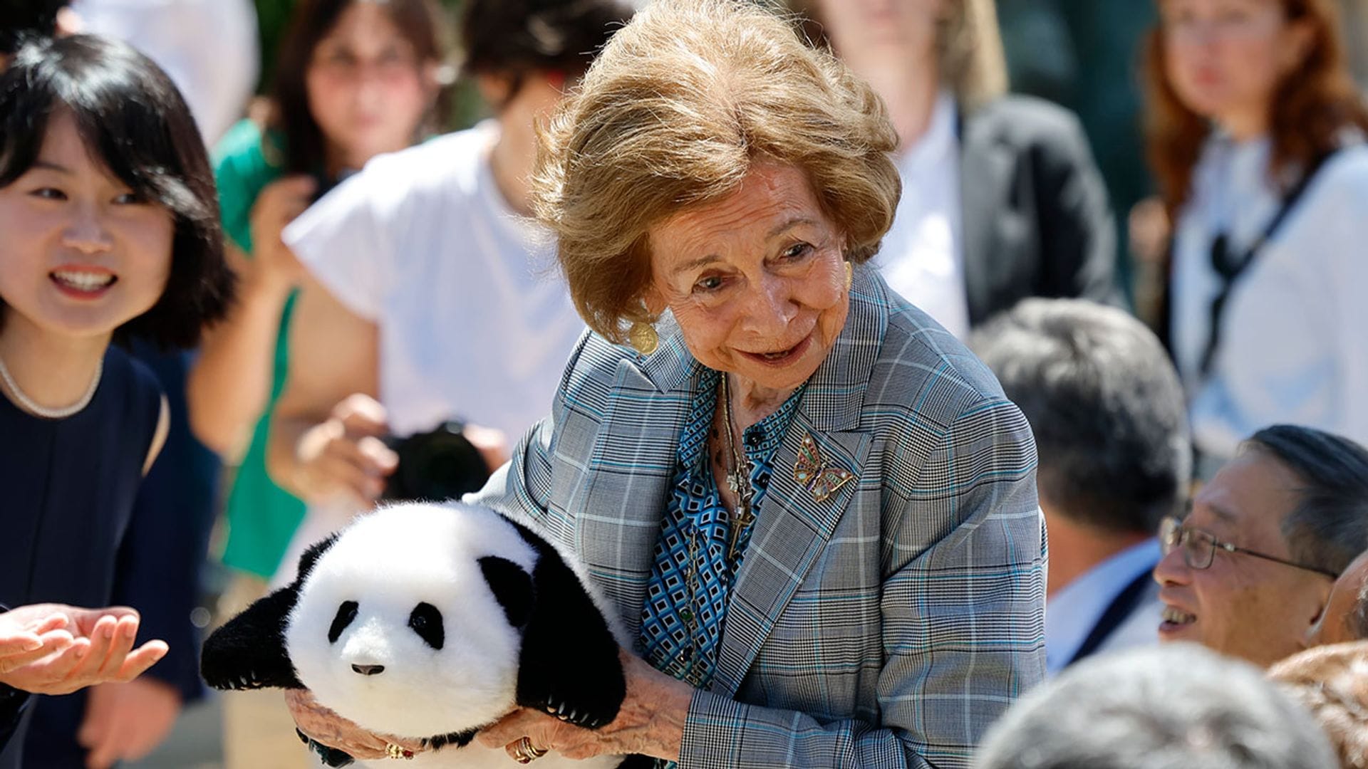 Las simpáticas imágenes de la reina Sofía dando la bienvenida a dos osos panda en el Zoo de Madrid