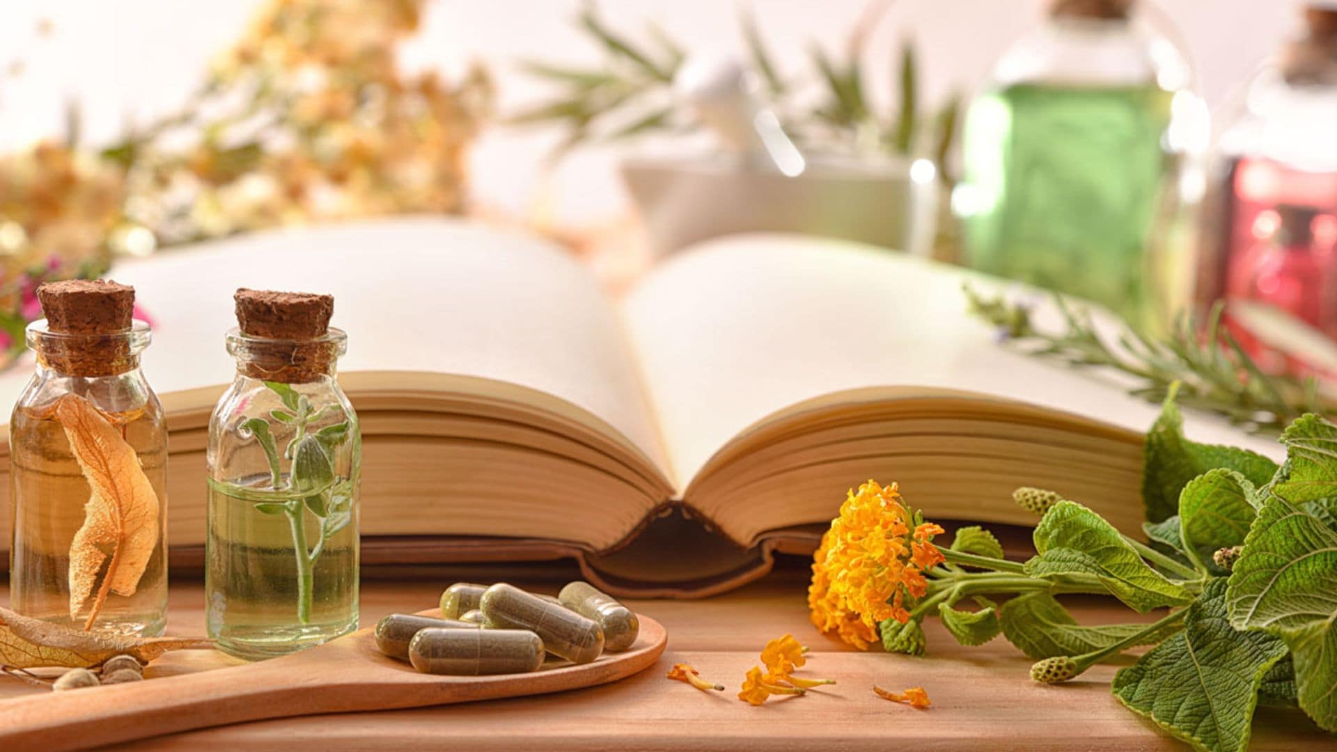 ¿Cuáles son las plantas medicinales más populares y qué dolencias curan?