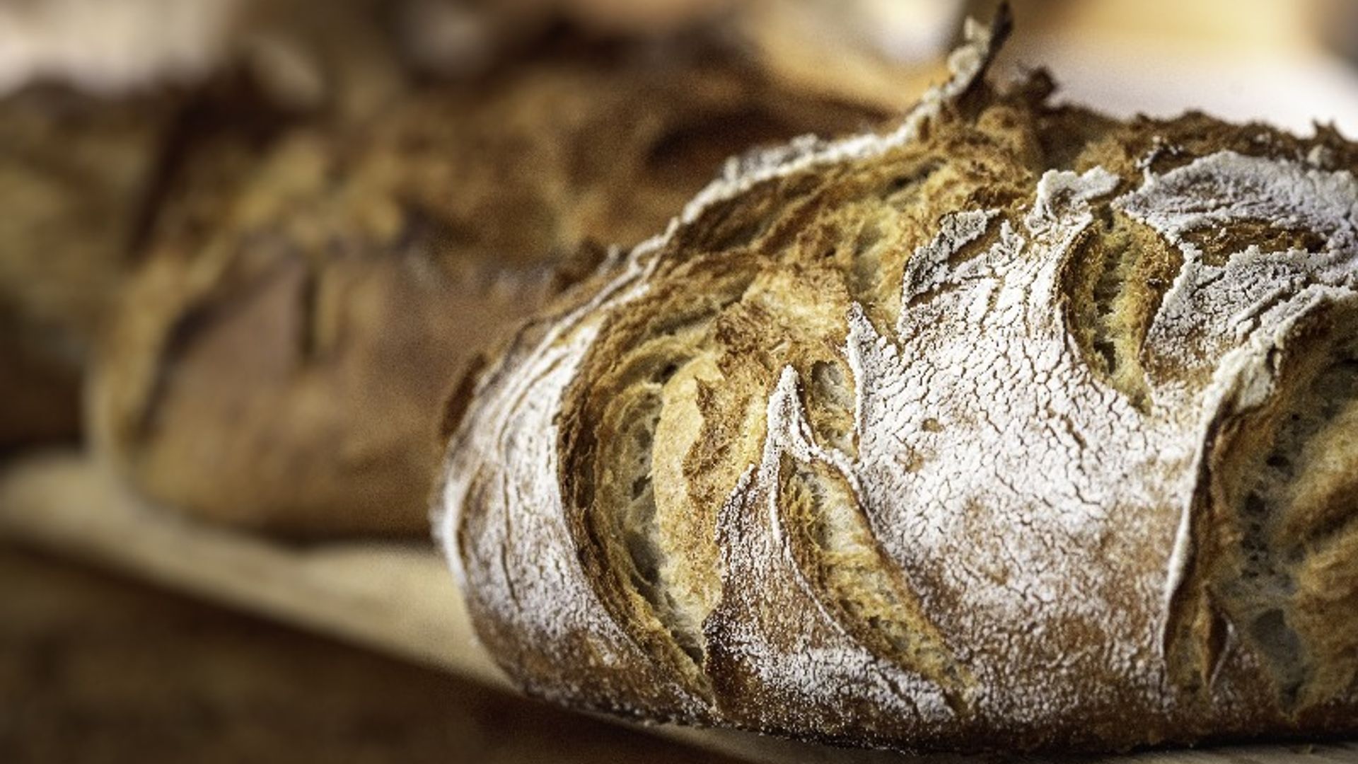 panes thermomix recetas