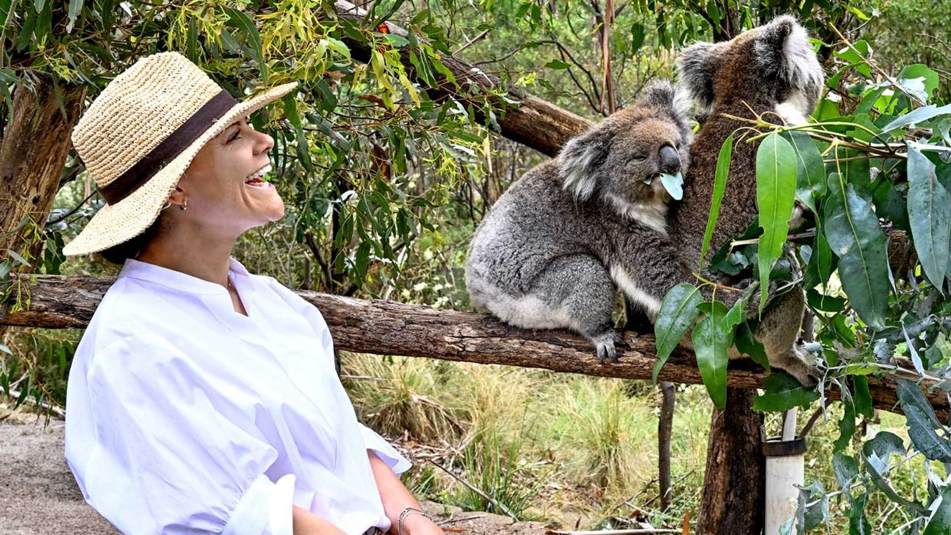 Victoria y Daniel de Suecia llegan a tierras australianas y son recibidos por... ¡dos koalas!