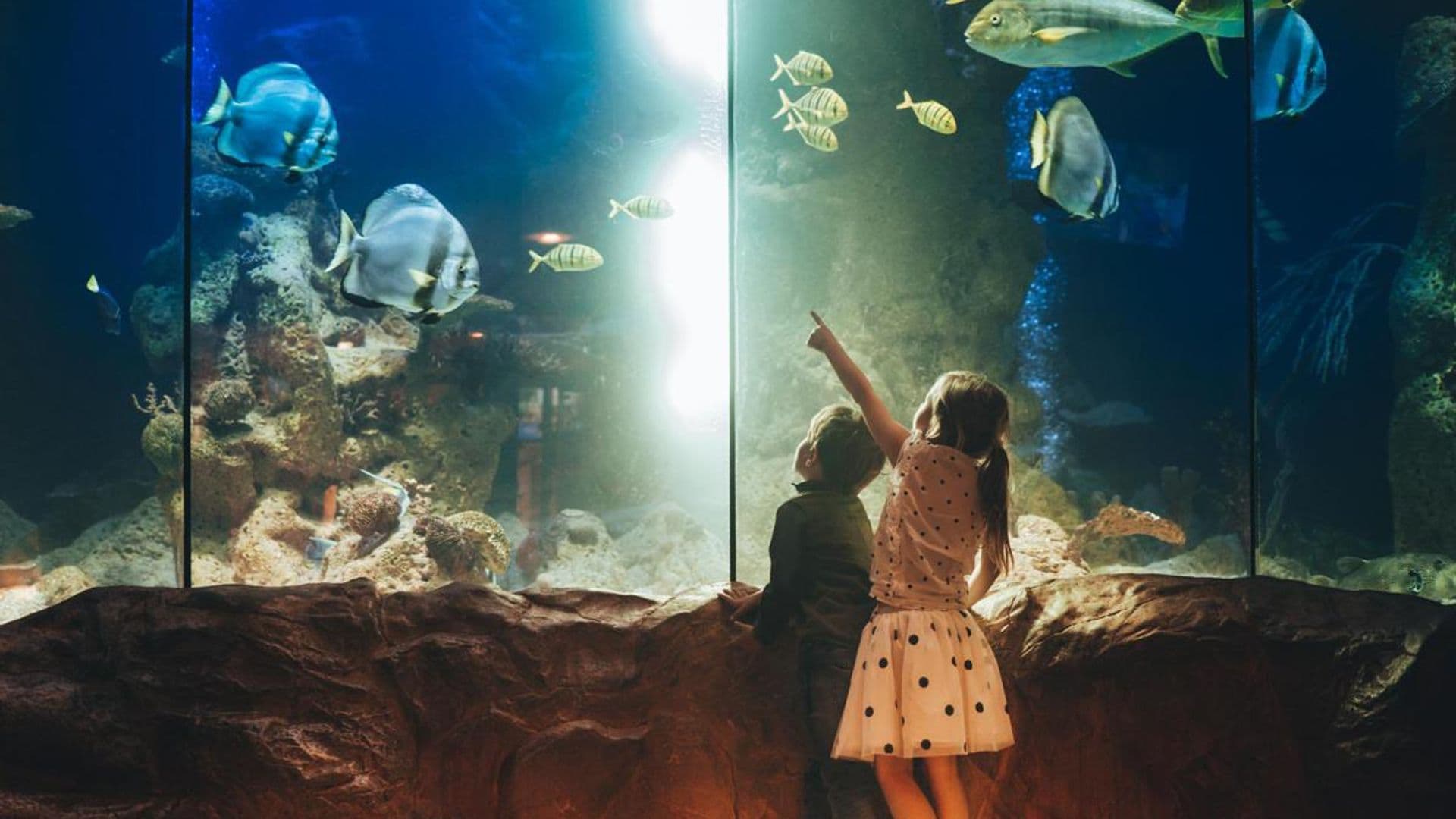 Estos son los museos más divertidos de España para ir con niños