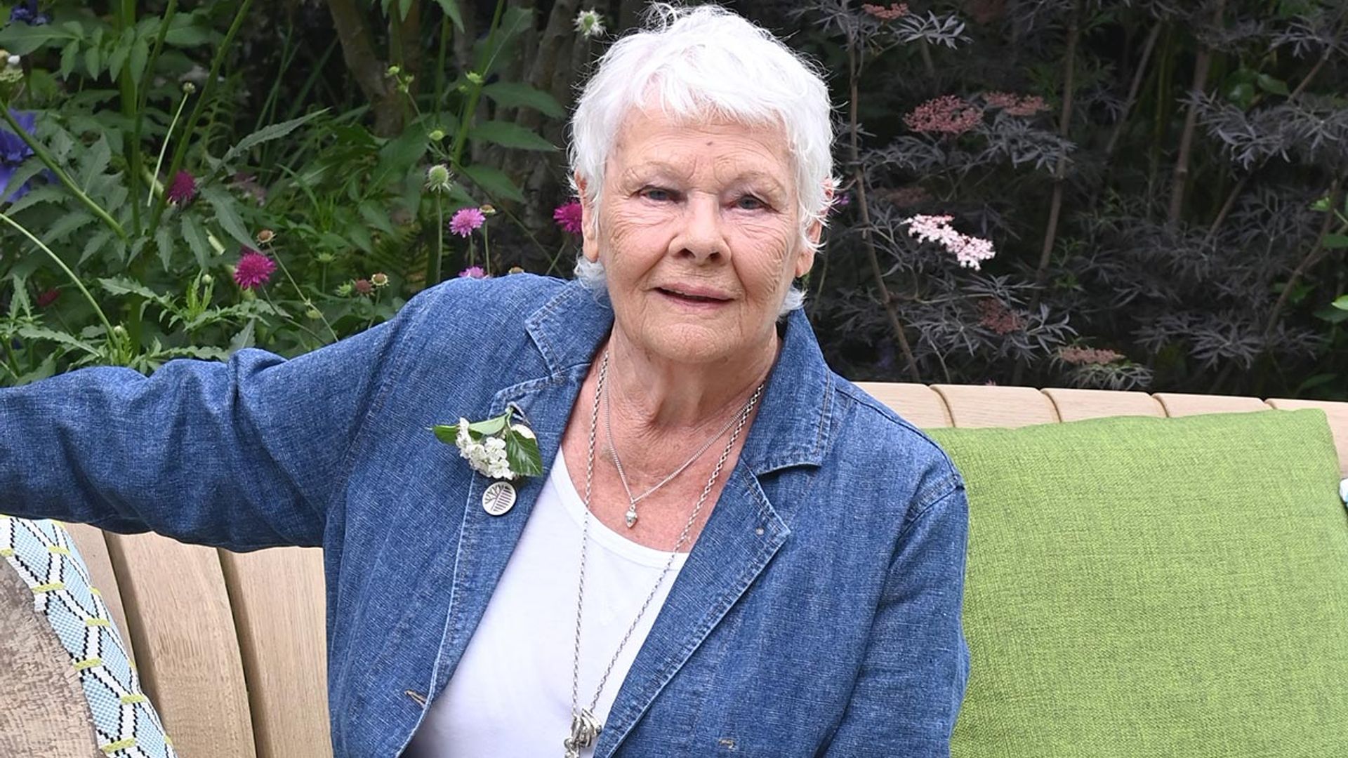 Judi Dench se resiste a retirarse a pesar de no poder leer ni escribir por un problema de visión