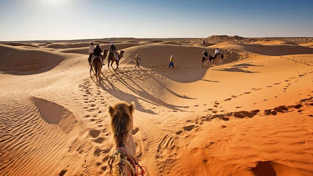 viajes t nez