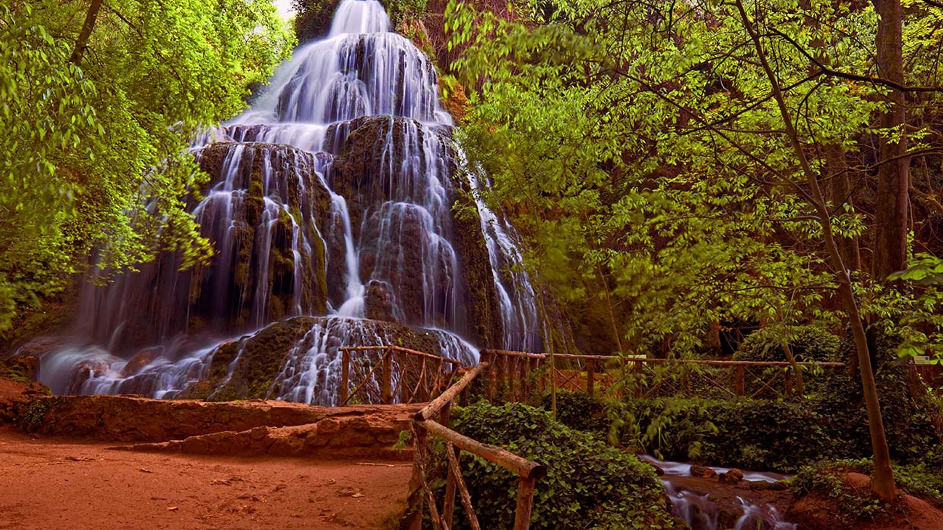 Bosques asombrosos para disfrutar de la naturaleza este otoño