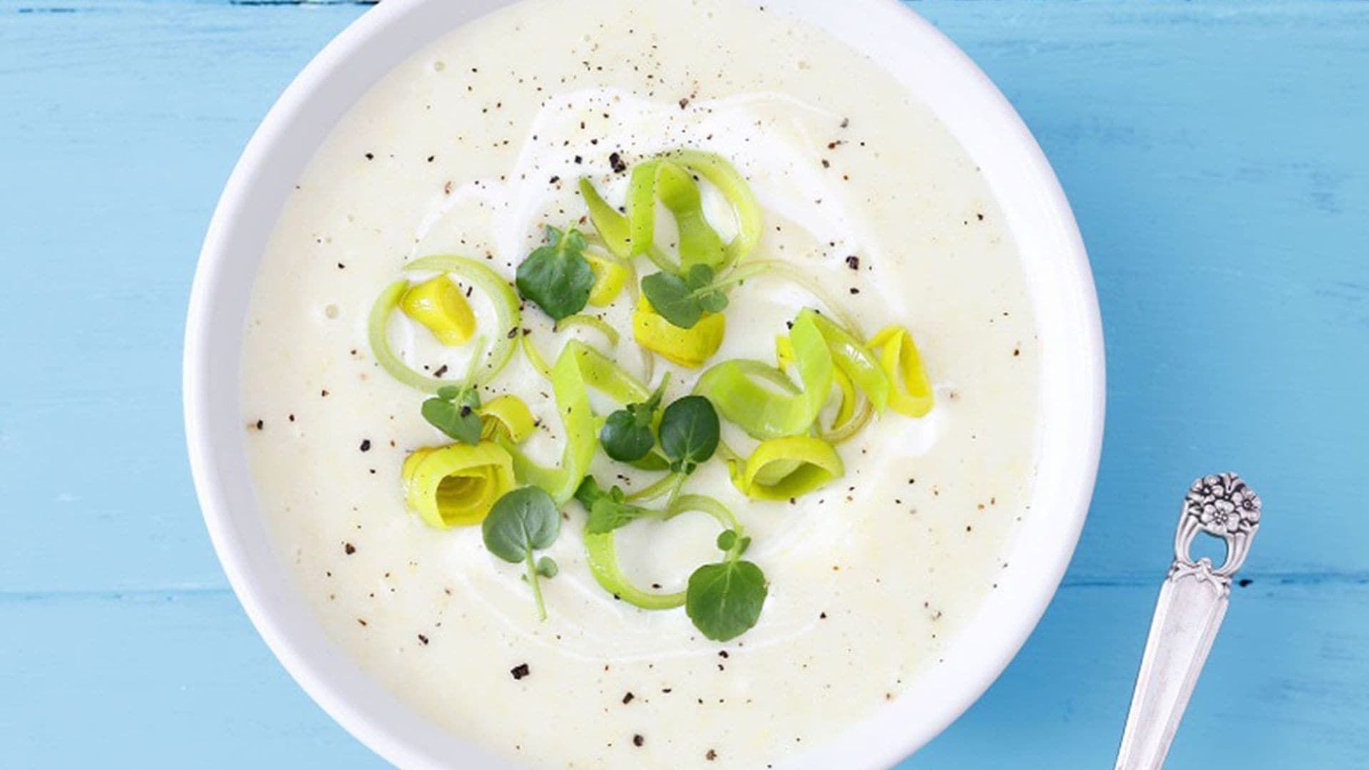 vichyssoise facil