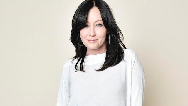 the american humane hero dog awards portraits