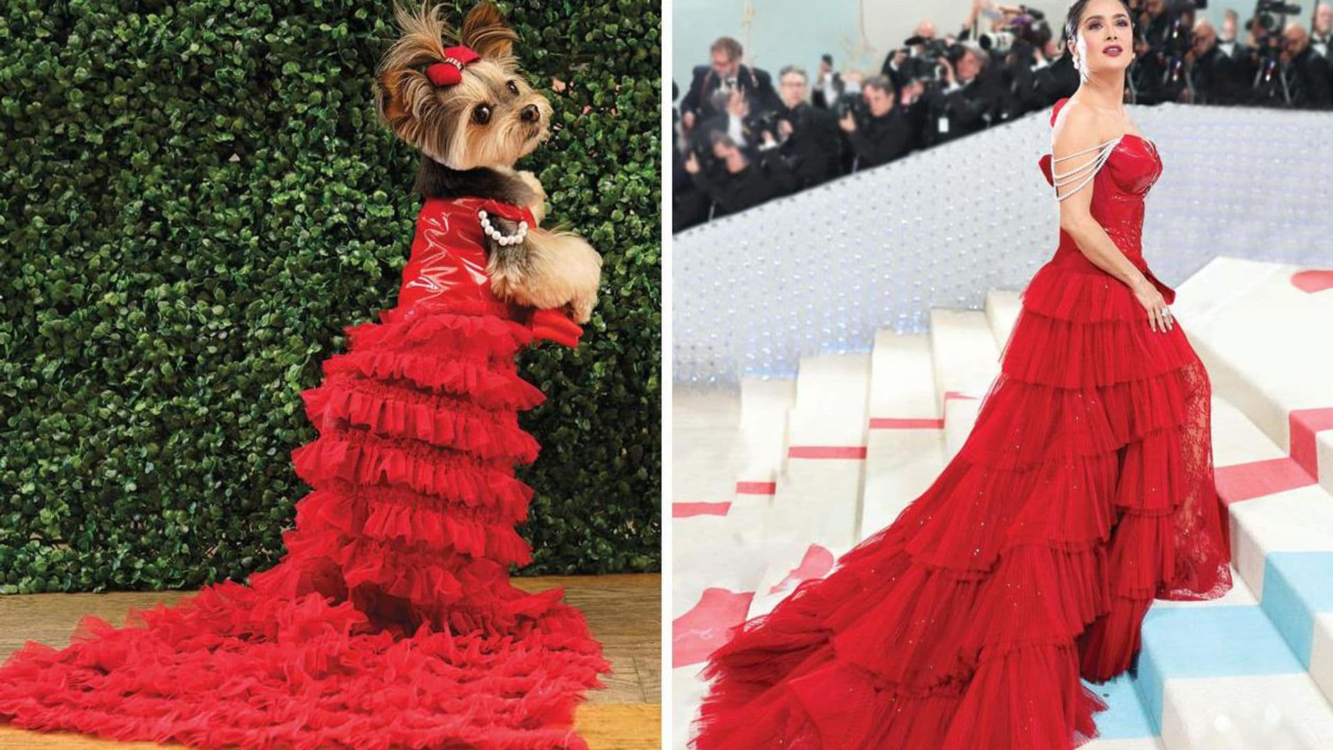 Los encantadores imitadores de Salma Hayek, Dua Lipa y Rihanna en una alfombra roja de ‘guau’