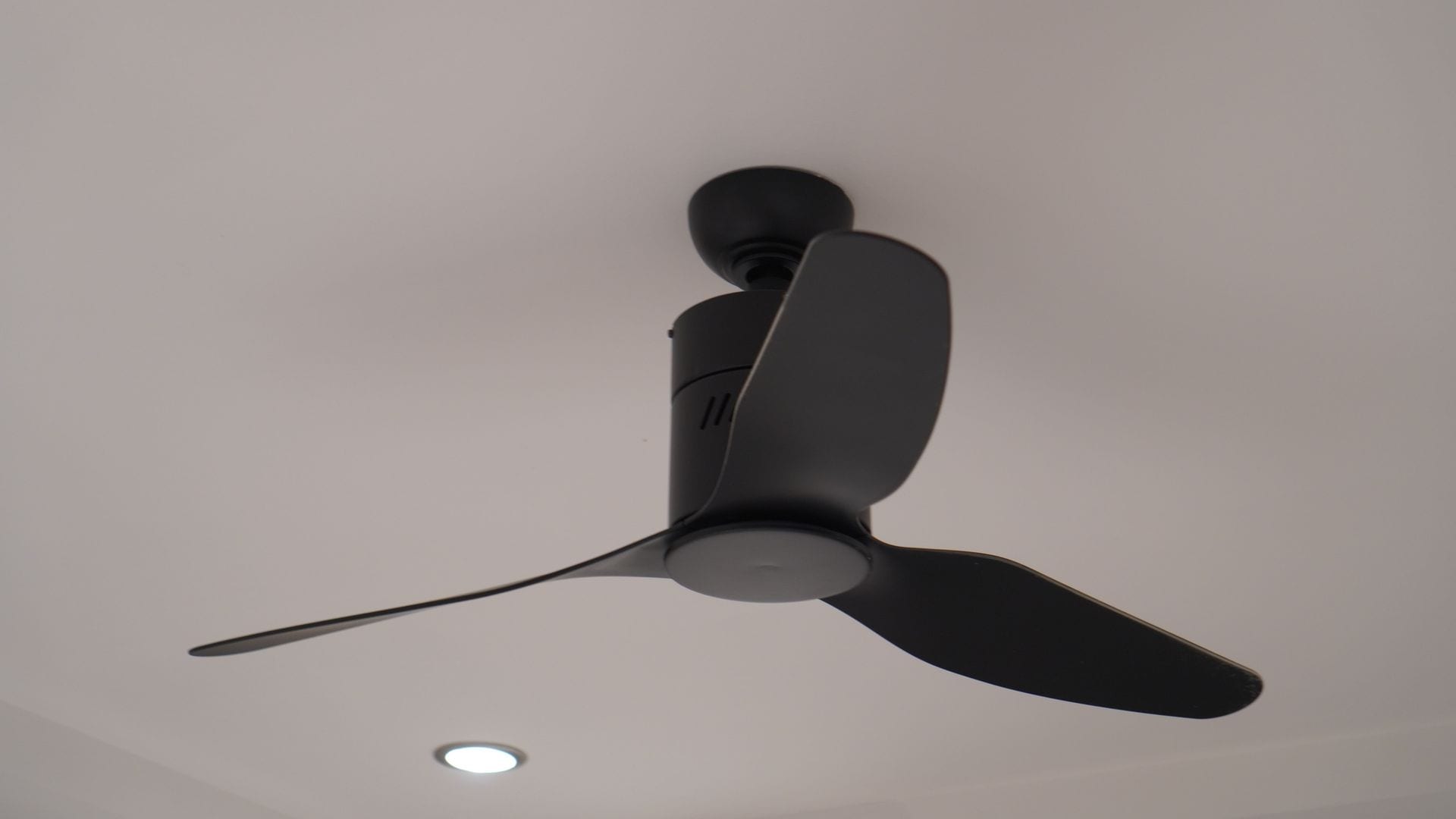 Descuentos en ventiladores por el Amazon Prime Day 2025: soy experta en tecnología y esta es mi selección