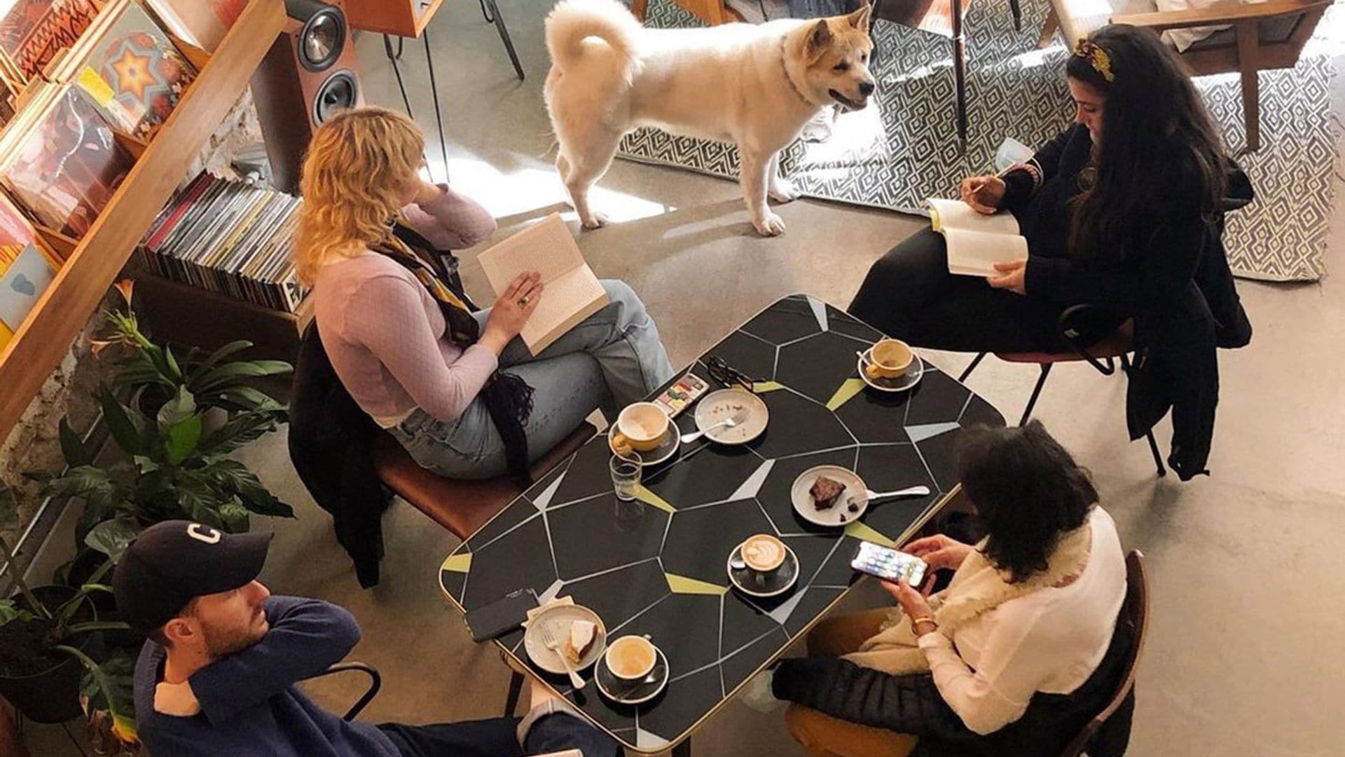 ¿En busca de sitios para merendar en Madrid? Te damos ideas