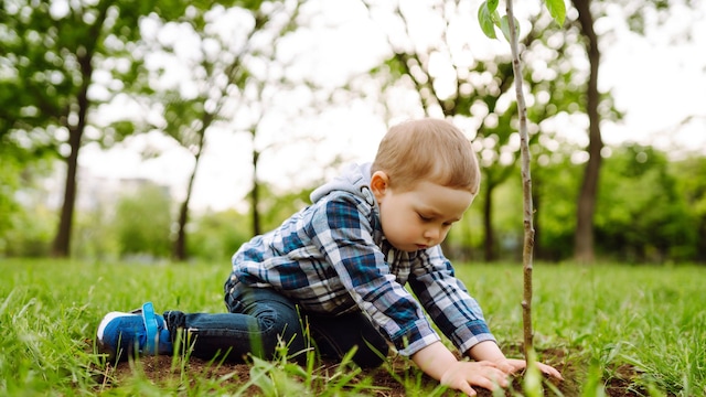 Niño plantando un arbolito al aire libre