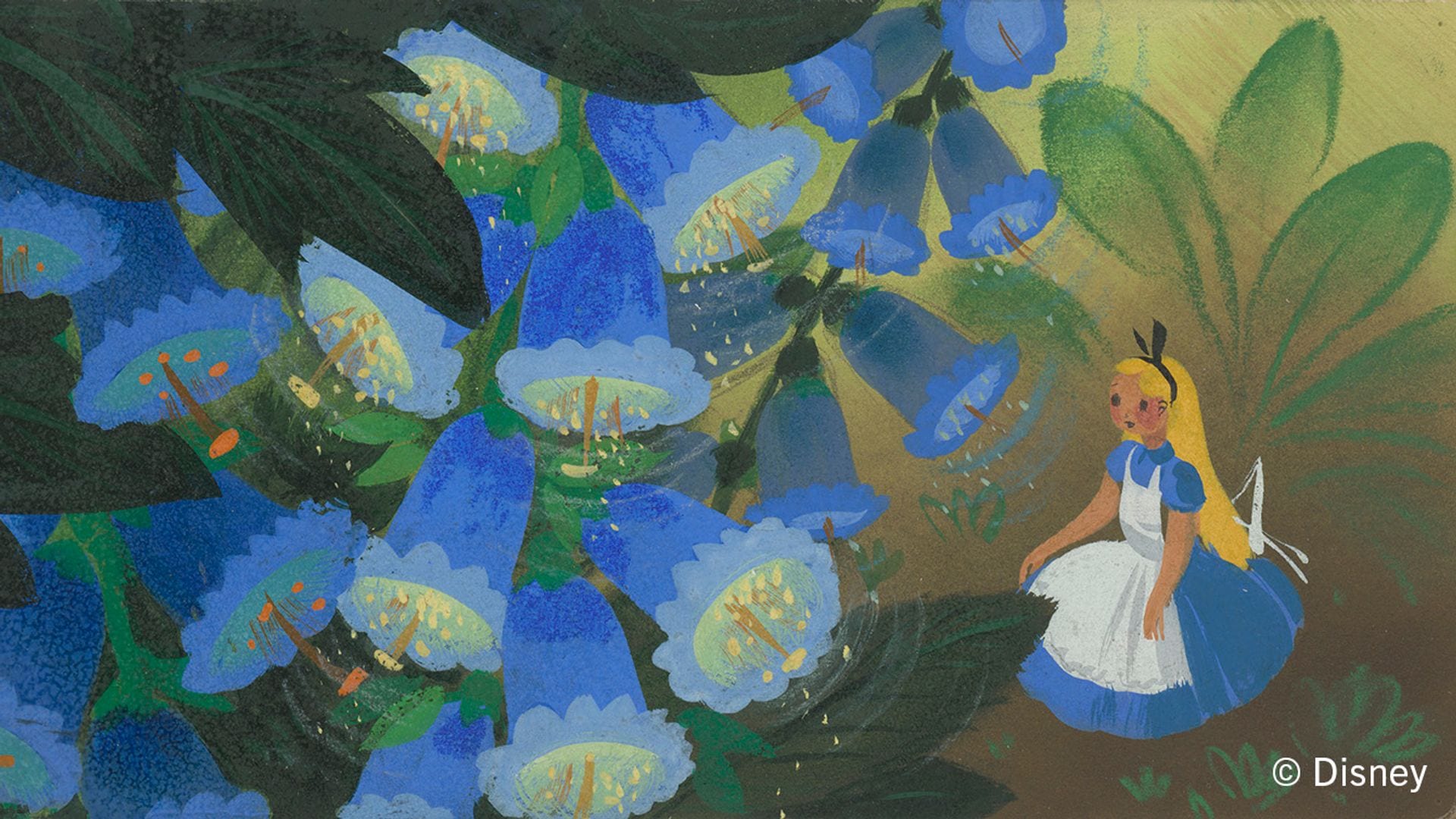 Dibujo de Disney de Alicia en el País de las Maravillas 