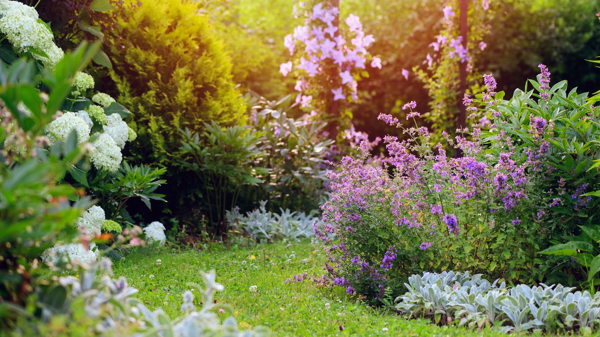 Cómo cuidar tu jardín en agosto: 10 tareas imprescindibles para proteger y mantener saludables tus plantas de exterior