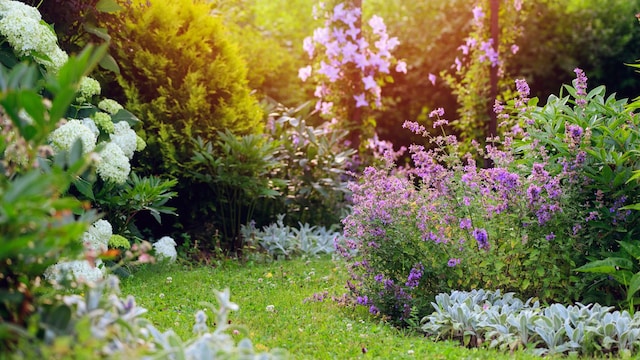 Jardín en verano