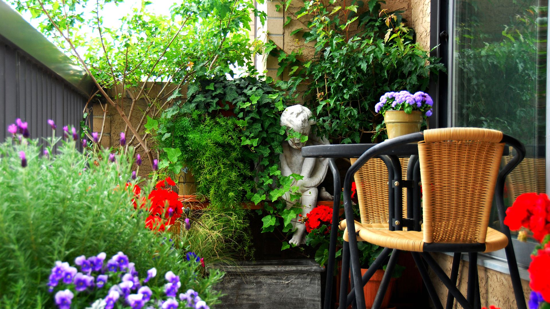 Ni geranios ni hortensias: plantas de rápido crecimiento para renovar tu jardín en semanas y sin esfuerzo