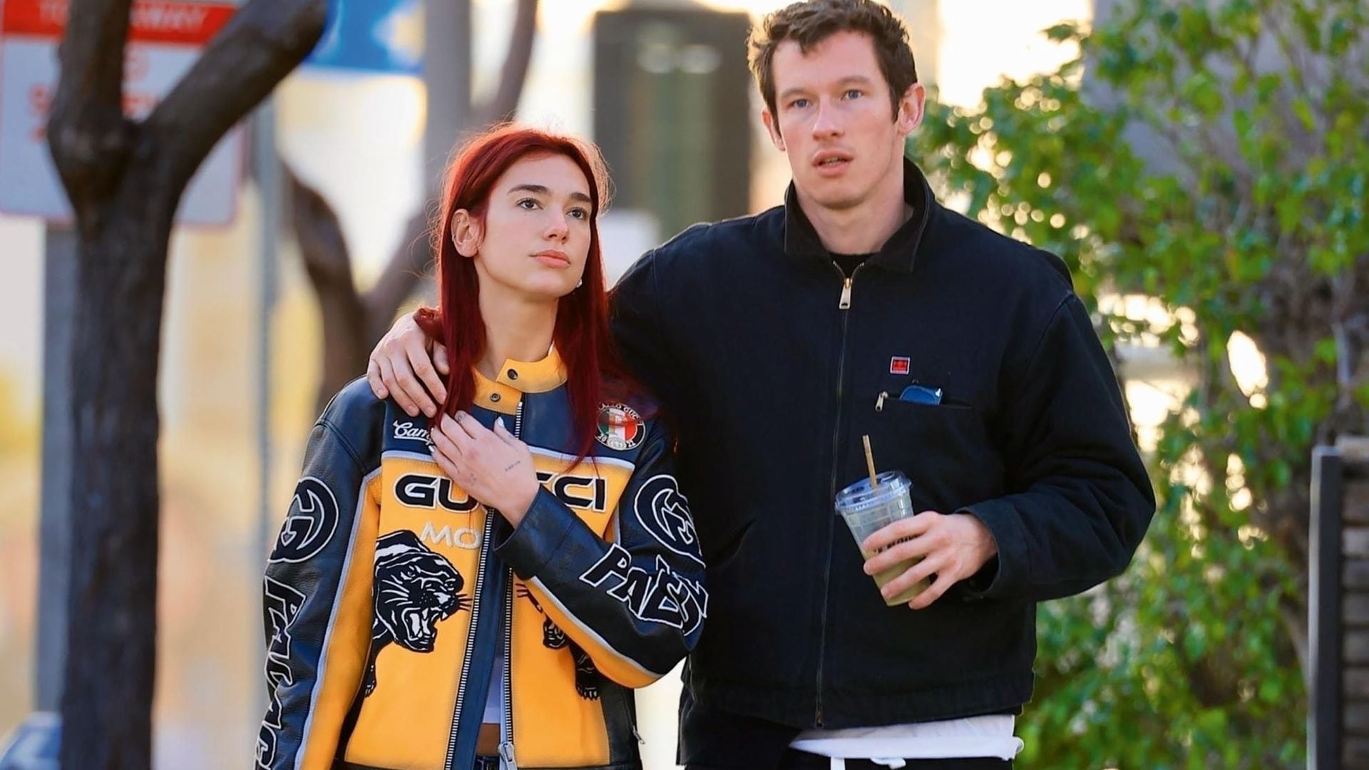 Dua Lipa: las imágenes de su apasionado reencuentro con su nuevo amor, Callum Turner