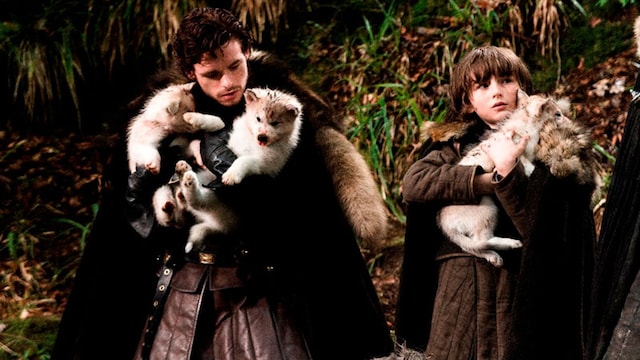 portada_perros_got