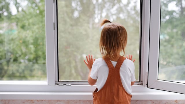 Niña asomada en una ventana con una mosquitera.