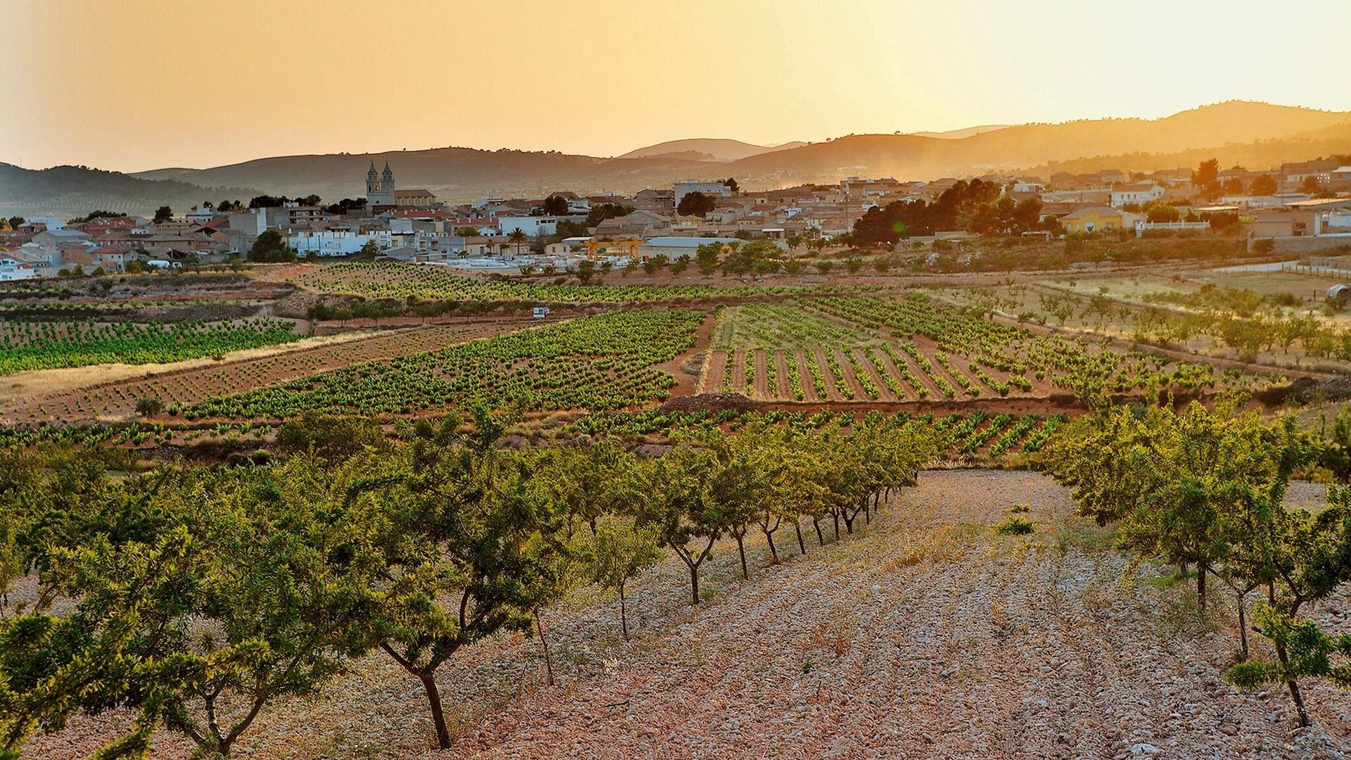 Sierra de Aitana, Vinalopó y marina alta: de vinos por tierras de castillos