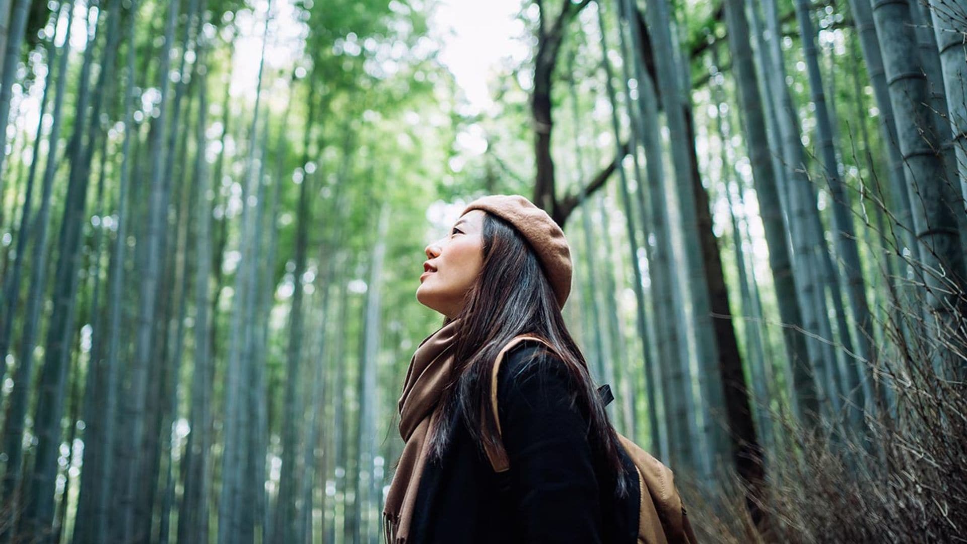 Sistema Hanasaki: el método inspirado en Japón que te ayuda a vivir más (y mejor)