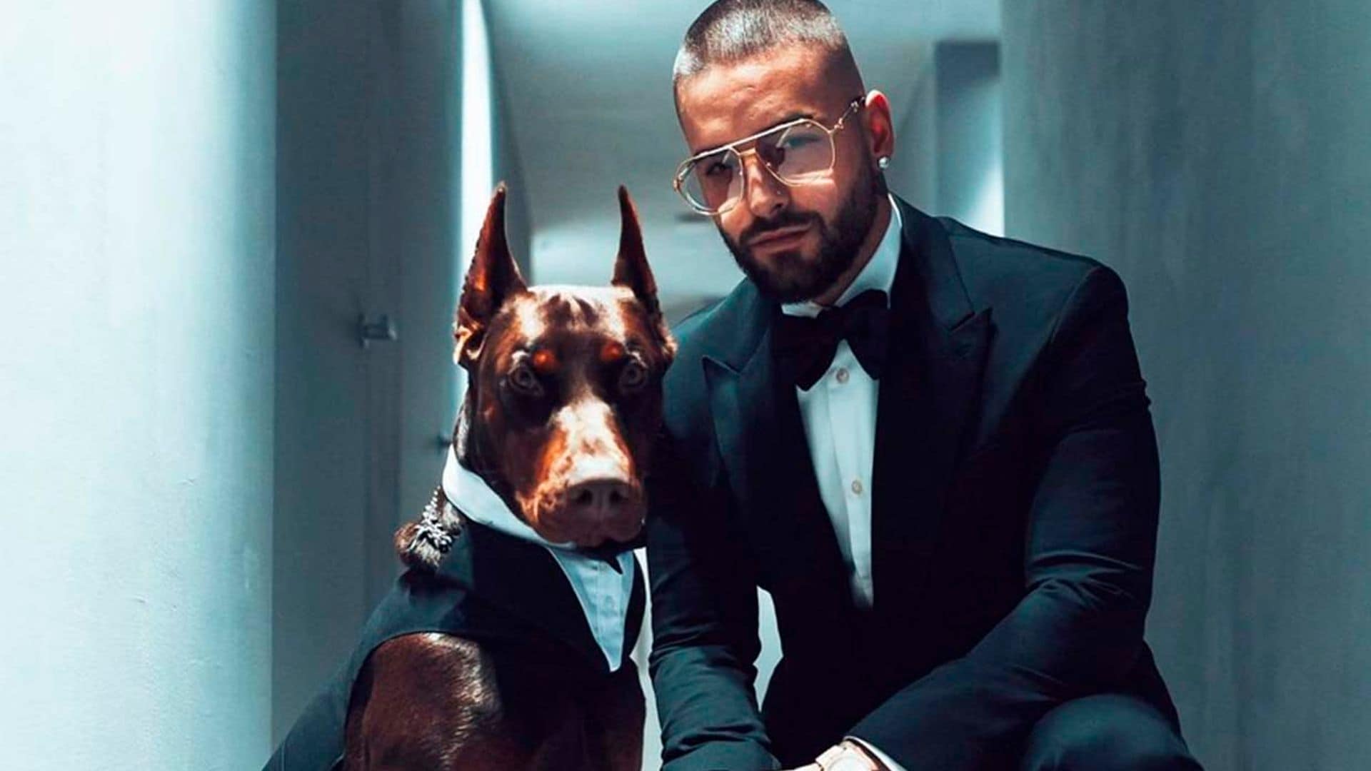 Maluma muestra las heridas del ataque de su perro, un dóberman europeo