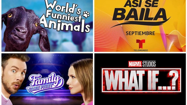 worlds funniest animals collage u34508386125grn