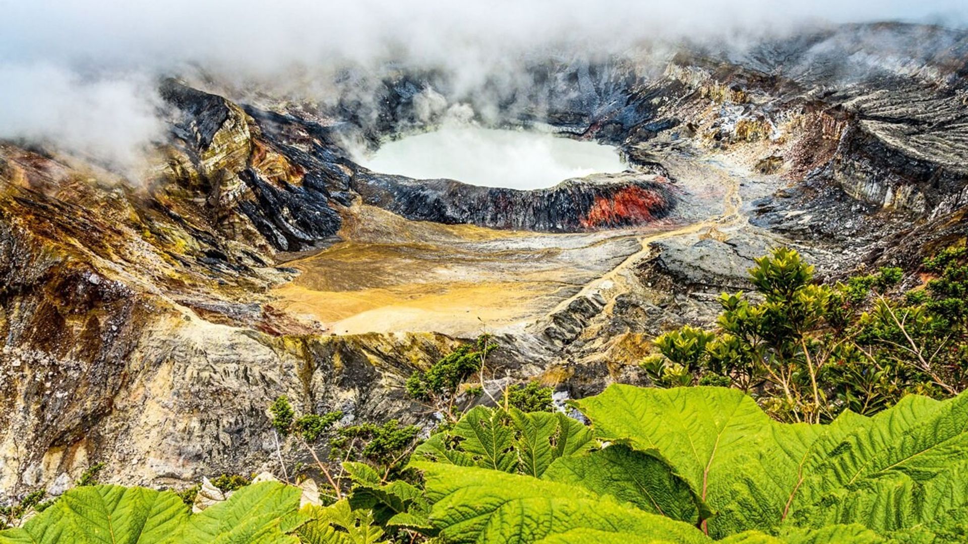 Costa Rica: por qué visitar desde sus parques naturales hasta sus volcanes